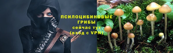 ешки Бронницы