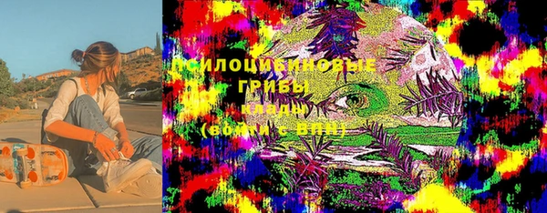 мет Бородино