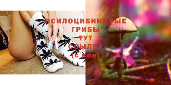 гидра Бугульма