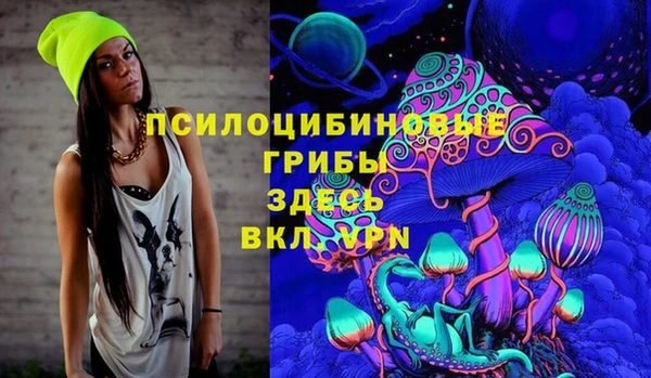 ешки Бронницы